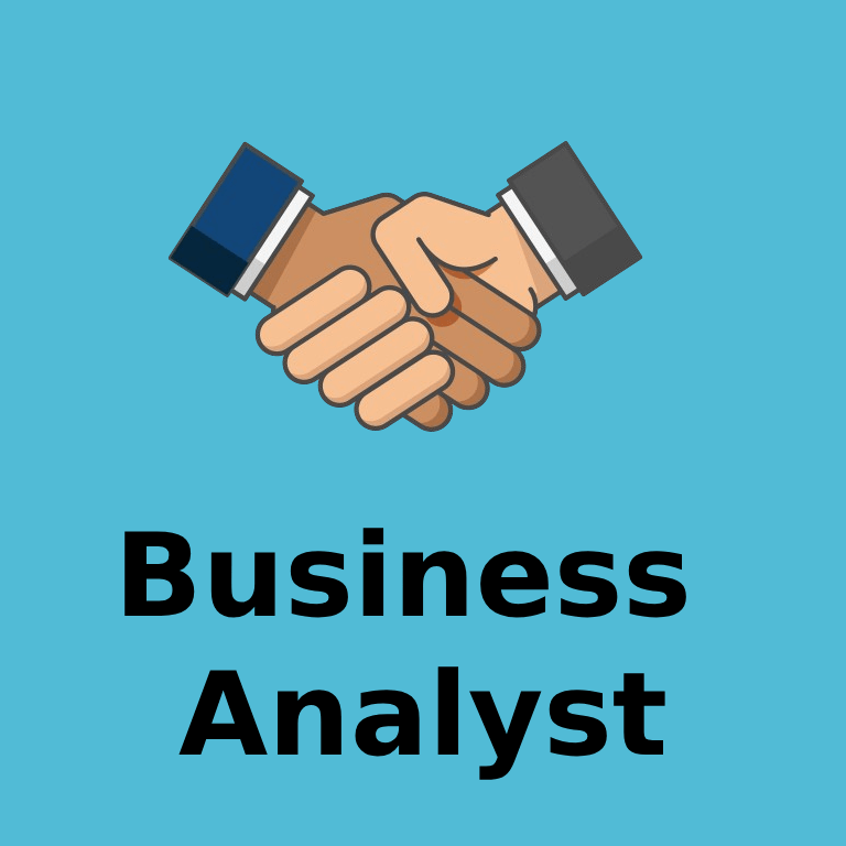 Business Analyst